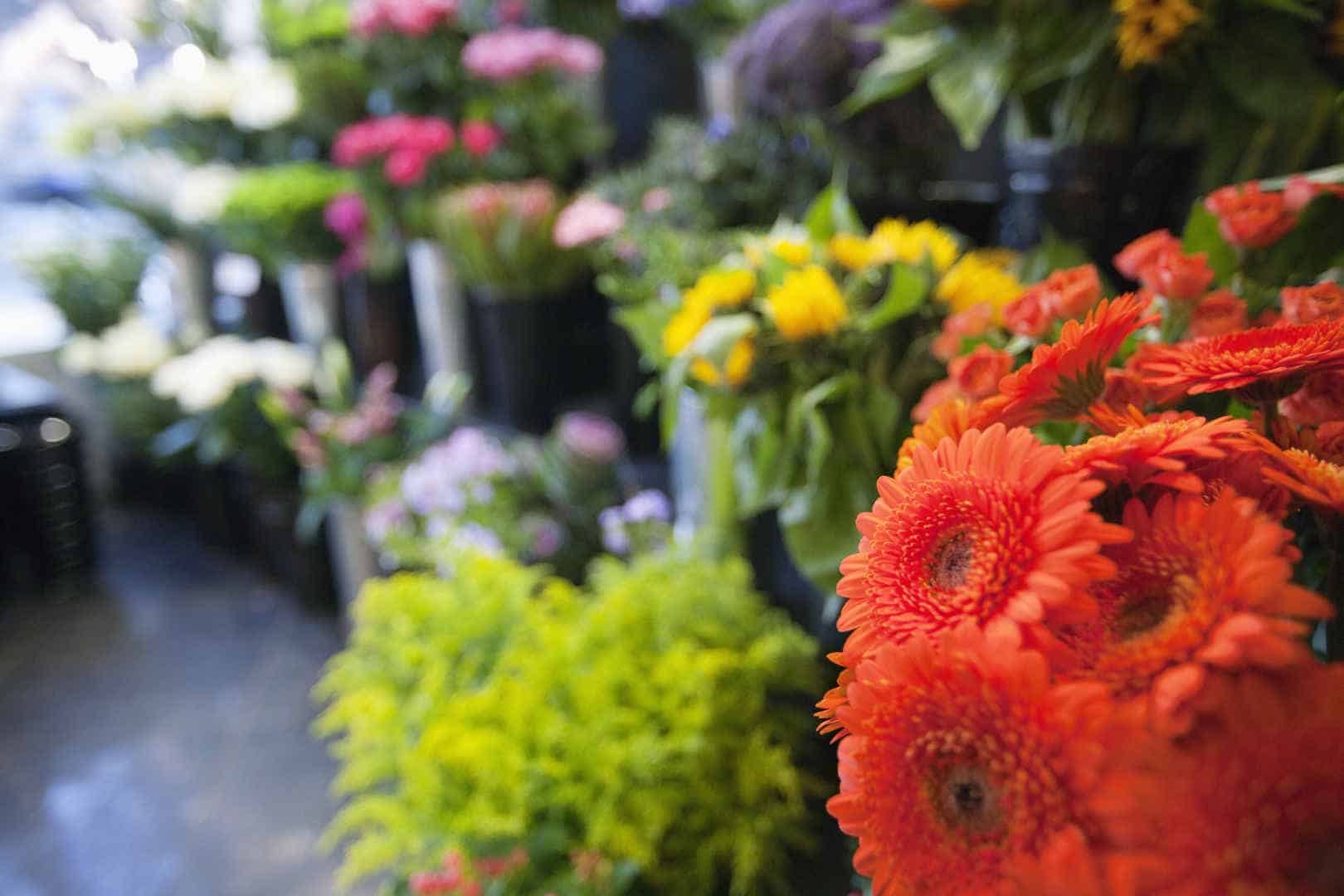 Fresh flowers at florist shop